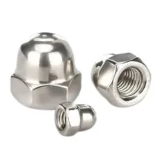  Hex Cap Nut Supplier in Malaysia