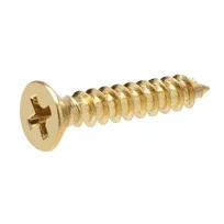  Brass Screws Manufacturer in India
